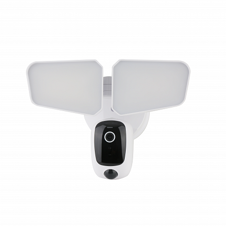 Google security light hotsell