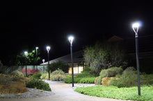 Load image into Gallery viewer, NG-PTA-150WD-508S-BLSY Selectable Lumens Round Post Top LED Fixture Dusk to Dawn 5000k Daylight