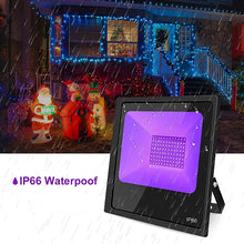 Load image into Gallery viewer, 100w Club Stage Event Party Flood Lights - UV Novelty Black Light with Neon Tape